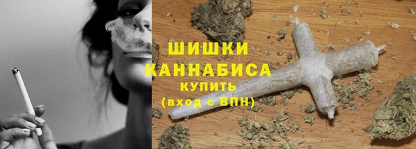 дмт Бородино