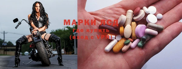 дмт Бородино