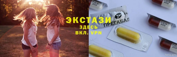 дмт Бородино