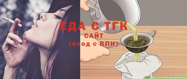 дмт Бородино