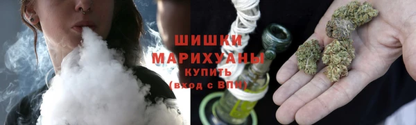 дмт Бородино