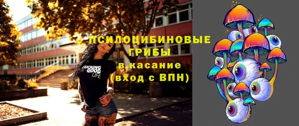 дмт Бородино