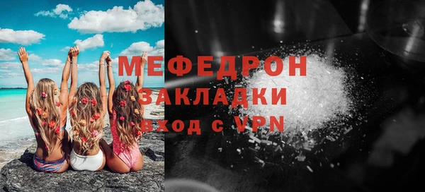 индика Тавда