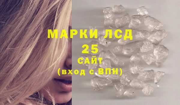 дмт Бородино