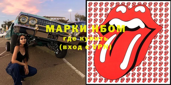 дмт Бородино