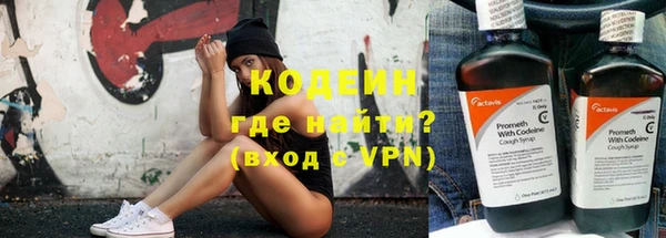 дмт Бородино